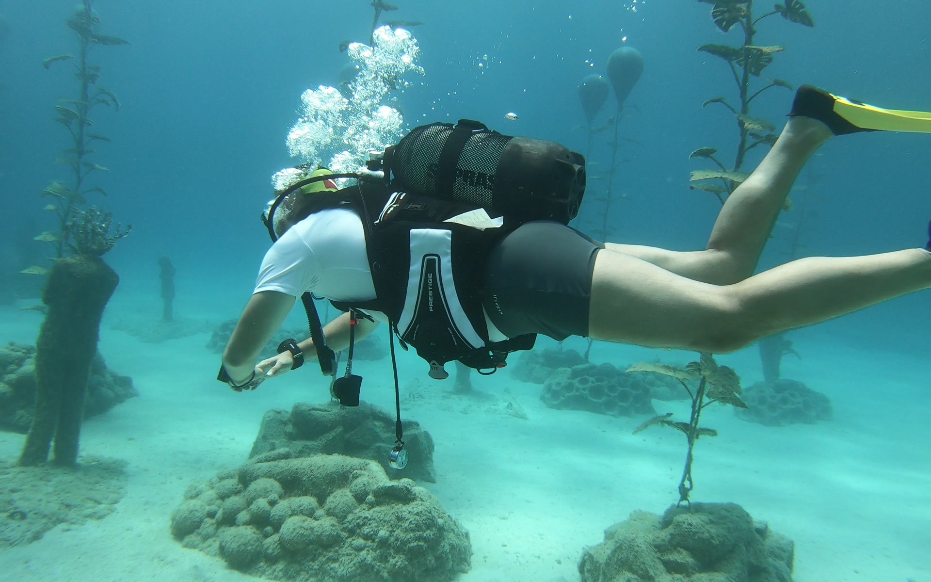 Diving, photo 1